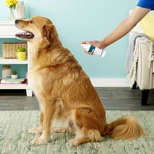 ✨Host Pick✨ Elanco Relief Colloidal Oatmeal Anti-itch Spray for Dogs Cats Horses